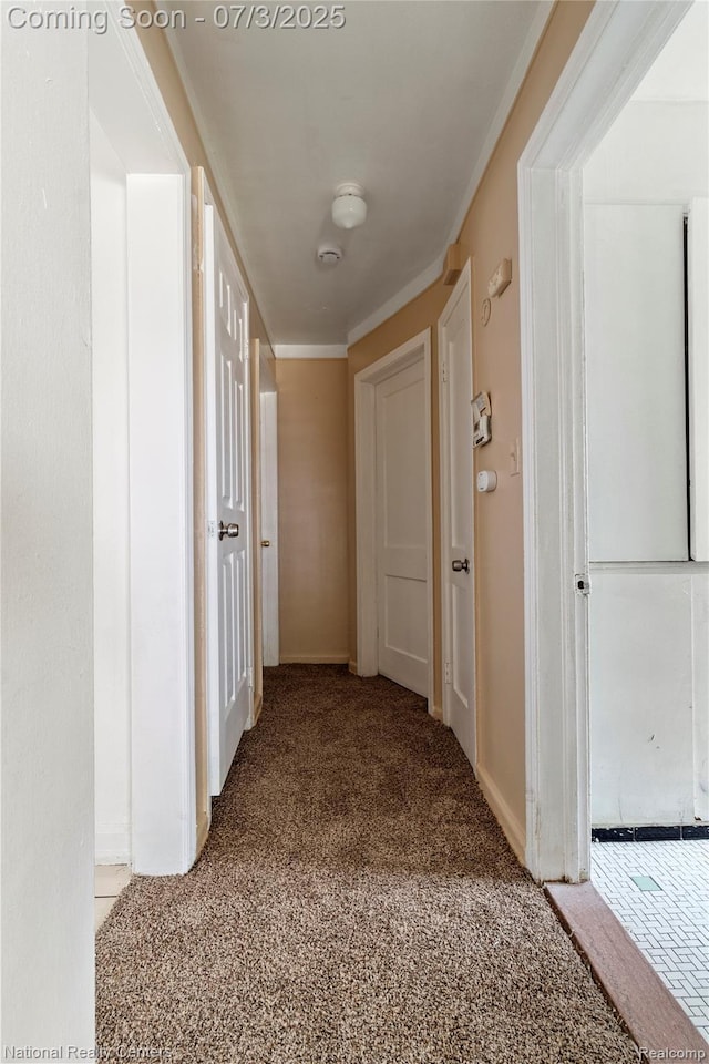 5981 University Pl, Detroit, MI 48224 - corridor featuring carpet floors