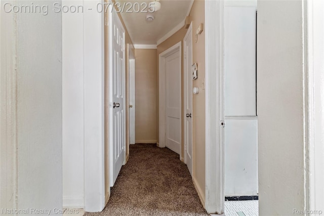 5981 University Pl, Detroit, MI 48224 - hall featuring carpet