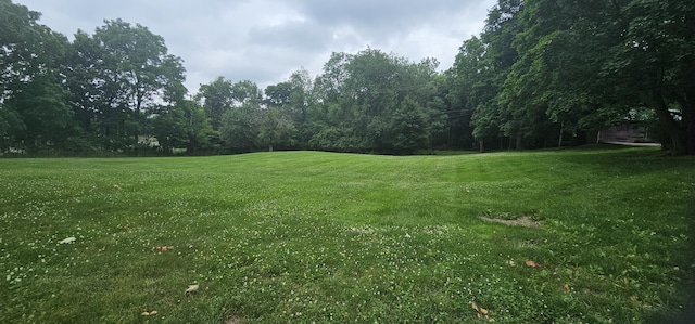 585 Robinson Rd, Jackson, MI 49203 - photo 30