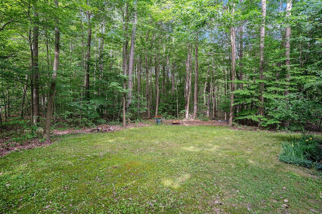 9191 W Ranger Rd, Mears, MI 49436 - view of grassy yard with a view of trees