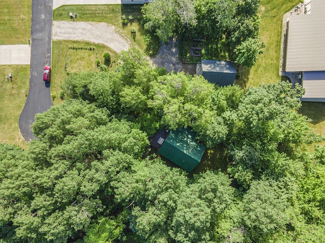 9191 W Ranger Rd, Mears, MI 49436 - bird's eye view