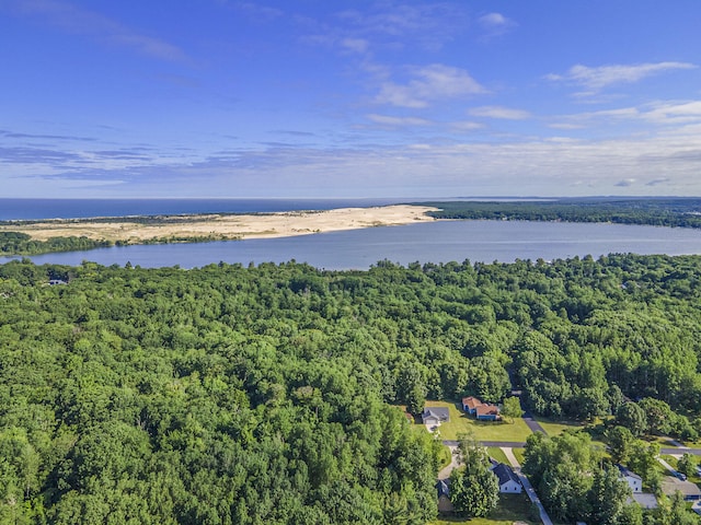 9191 W Ranger Rd, Mears, MI 49436 - view of property location with a nearby body of water