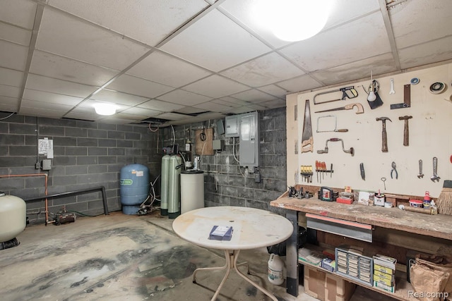 6674 Balmoral Ter, Clarkston, MI 48346 - below grade area featuring a water pressure tank, a water softener, concrete block wall, electric panel, and a paneled ceiling