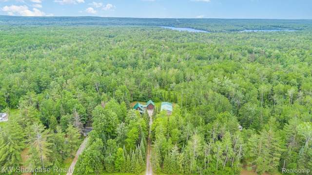 699 W Cherry Creek Rd, Mio, MI 48647 - bird's eye view of a forest