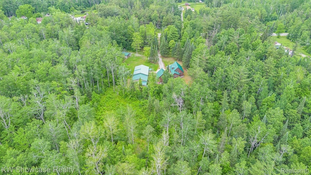 699 W Cherry Creek Rd, Mio, MI 48647 - aerial view of a forest