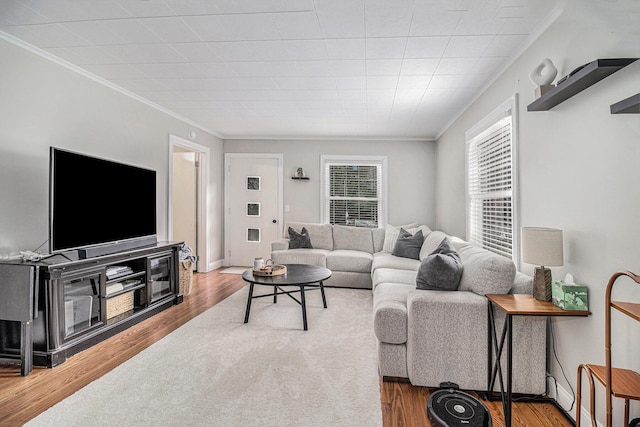 407 W Pine St, Big Rapids, MI 49307 - living area featuring ornamental molding and wood finished floors