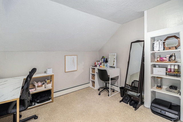 407 W Pine St, Big Rapids, MI 49307 - carpeted office with baseboard heating, lofted ceiling, and a textured ceiling