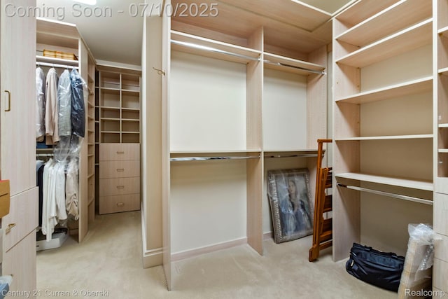 18878 Oak Leaf Ln, Northville, MI 48168 - walk in closet featuring carpet flooring
