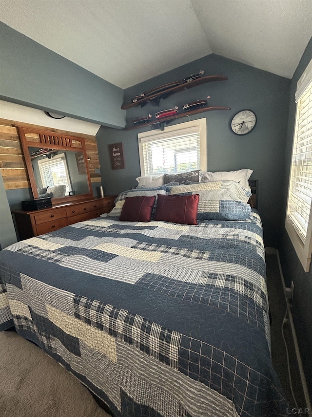 2907 W Ferndale Dr, Manitou Beach, MI 49253 - bedroom with lofted ceiling, multiple windows, and carpet