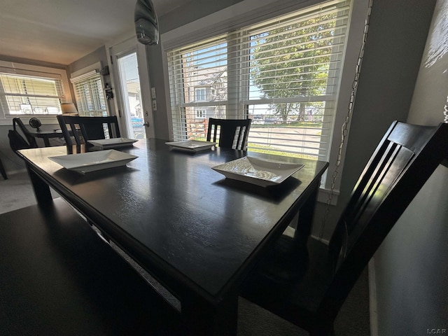 2907 W Ferndale Dr, Manitou Beach, MI 49253 - view of dining area