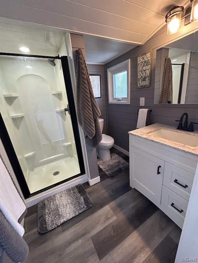 2907 W Ferndale Dr, Manitou Beach, MI 49253 - bathroom with wood finished floors, vanity, and a shower stall