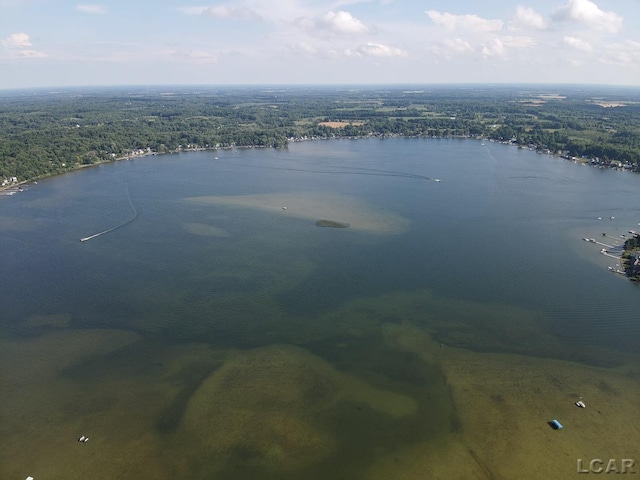 2907 W Ferndale Dr, Manitou Beach, MI 49253 - drone / aerial view of a large body of water