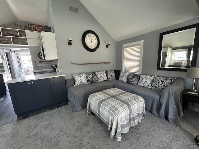 2907 W Ferndale Dr, Manitou Beach, MI 49253 - living area featuring vaulted ceiling