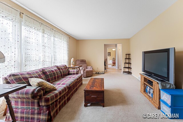 3910 Walker Ave NW, Grand Rapids, MI 49544 - view of carpeted living room