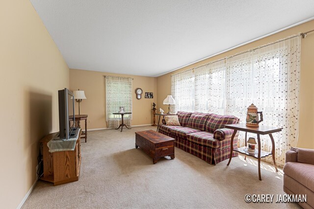 3910 Walker Ave NW, Grand Rapids, MI 49544 - carpeted living room featuring baseboards