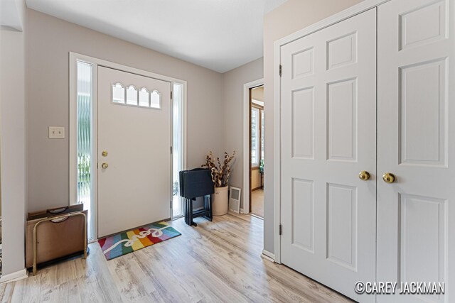3910 Walker Ave NW, Grand Rapids, MI 49544 - foyer featuring light wood-type flooring