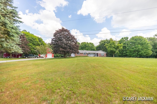 3910 Walker Ave NW, Grand Rapids, MI 49544 - view of green lawn