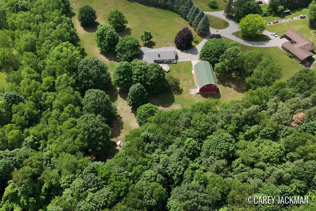 3910 Walker Ave NW, Grand Rapids, MI 49544 - drone / aerial view