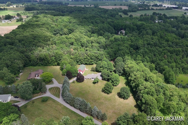 3910 Walker Ave NW, Grand Rapids, MI 49544 - aerial view of a forest