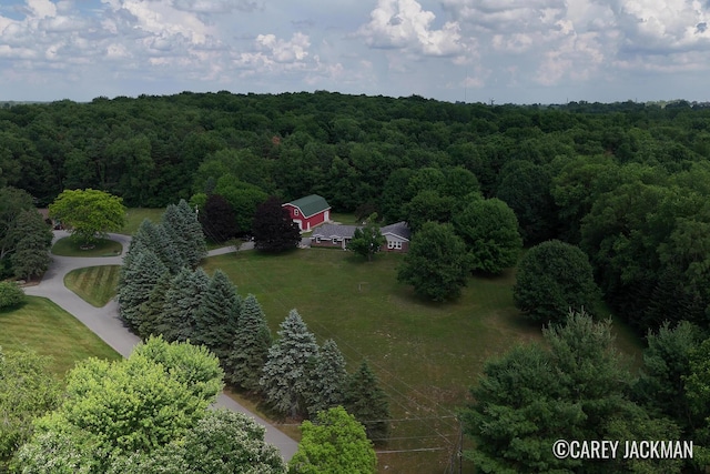 3910 Walker Ave NW, Grand Rapids, MI 49544 - aerial view of property and surrounding area featuring a forest