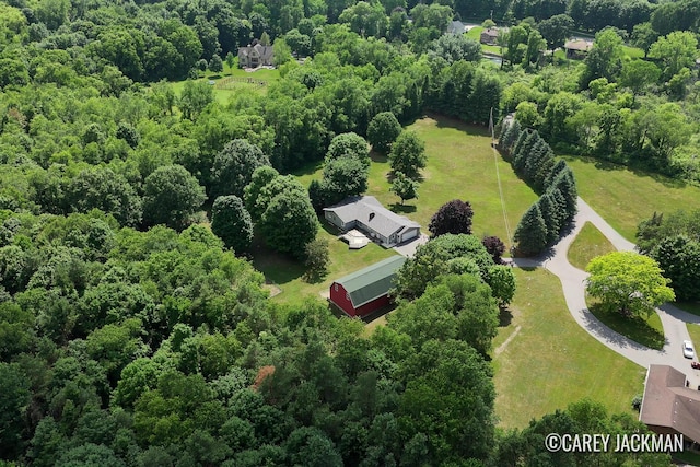 3910 Walker Ave NW, Grand Rapids, MI 49544 - aerial view