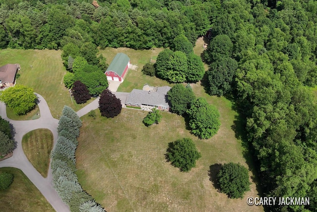 3910 Walker Ave NW, Grand Rapids, MI 49544 - aerial overview of property's location featuring a heavily wooded area