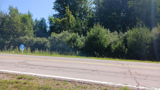 SKINSTONROAD S Kingston Rd, Silverwood, MI 48727 - photo 2