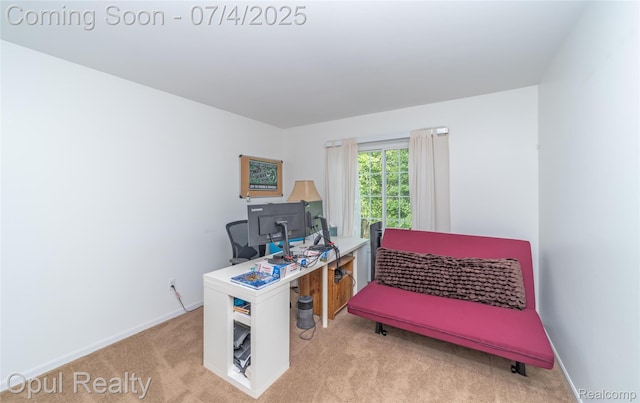 3830 Kossuth Rd, Lake Orion, MI 48360 - carpeted office featuring baseboards