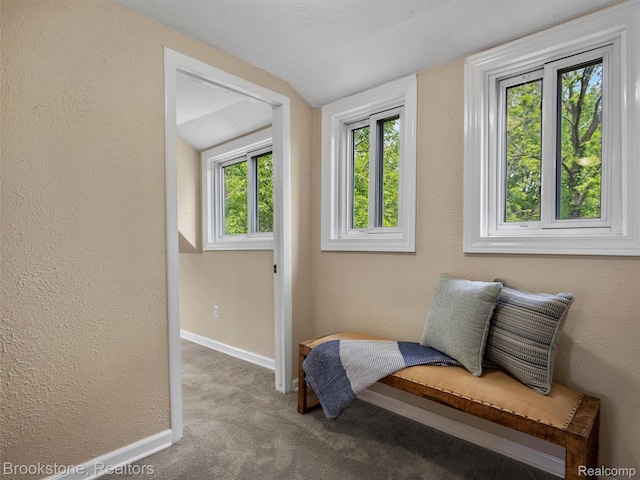 128 Leeds St, Novi, MI 48390 - photo 23