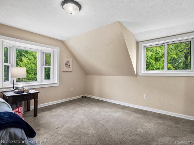 128 Leeds St, Novi, MI 48390 - photo 25