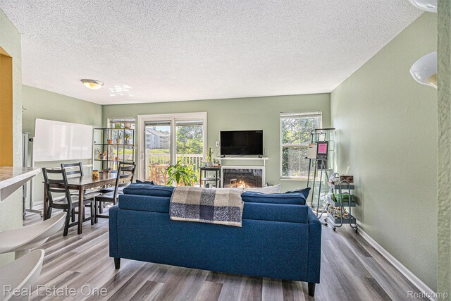 239 Fieldcrest St, Ann Arbor, MI 48103 - living room featuring a textured ceiling, healthy amount of natural light, wood finished floors, and a warm lit fireplace