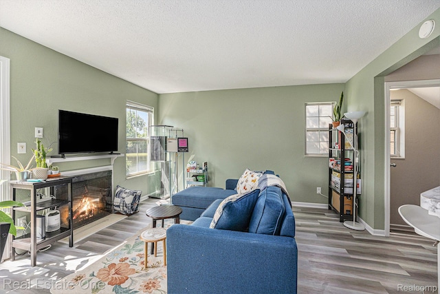 239 Fieldcrest St, Ann Arbor, MI 48103 - living room featuring wood finished floors, a textured ceiling, and a glass covered fireplace