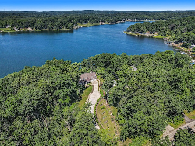 58604 E Clear Lake Rd, Three Rivers, MI 49093 - photo 44