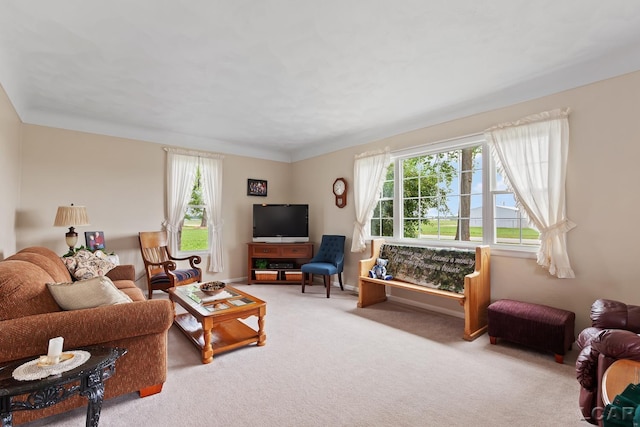 3224 Sand Creek Highway, Adrian, MI 49221 - living room with plenty of natural light and carpet