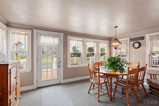 3224 Sand Creek Highway, Adrian, MI 49221 - dining room featuring light carpet, crown molding, and plenty of natural light