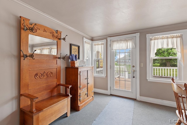 3224 Sand Creek Highway, Adrian, MI 49221 - doorway with carpet and crown molding