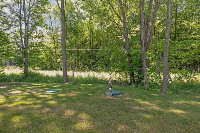 16715 Williamsville St, Vandalia, MI 49095 - photo 33