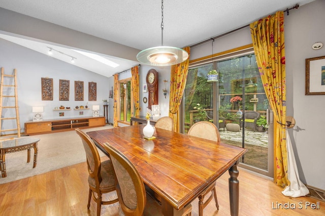 6636 E Riverwoods Ct NE, Rockford, MI 49341 - dining area with light wood-type flooring, lofted ceiling, a skylight, and a textured ceiling