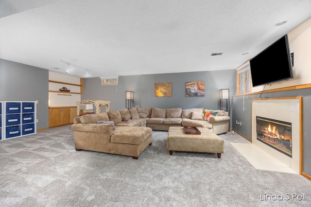 6636 E Riverwoods Ct NE, Rockford, MI 49341 - living room with carpet flooring, a textured ceiling, a tile fireplace, wainscoting, and rail lighting