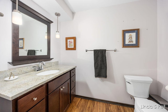 6636 E Riverwoods Ct NE, Rockford, MI 49341 - bathroom featuring wood finished floors and vanity