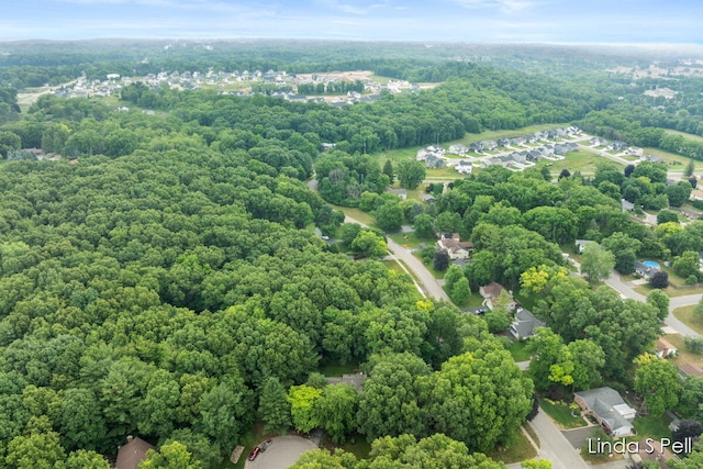6636 E Riverwoods Ct NE, Rockford, MI 49341 - aerial view of a forest