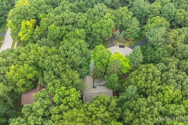 6636 E Riverwoods Ct NE, Rockford, MI 49341 - view of property location featuring a forest