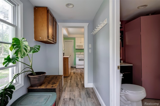1217 E Madge Ave, Hazel Park, MI 48030 - hall with light wood-style flooring and baseboards