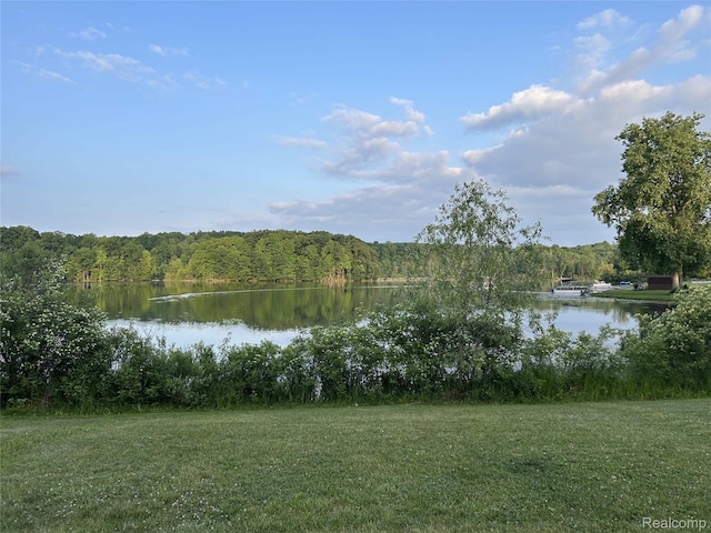 VL Cory Dr, Delton, MI 49046 - photo 17