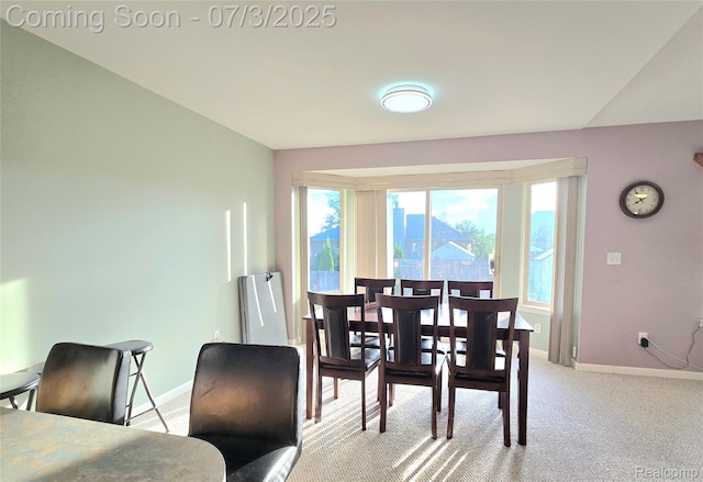 46877 Twin City Trl, Macomb, MI 48044 - photo 28