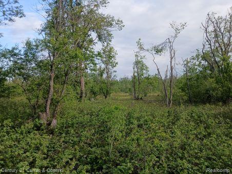 0000 Finnegan Rd, Chester, MI 49751