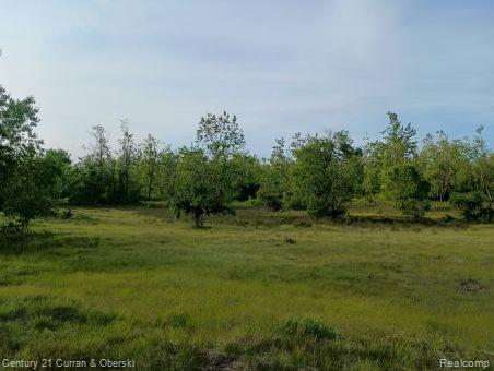 0000 Finnegan Rd, Chester, MI 49751