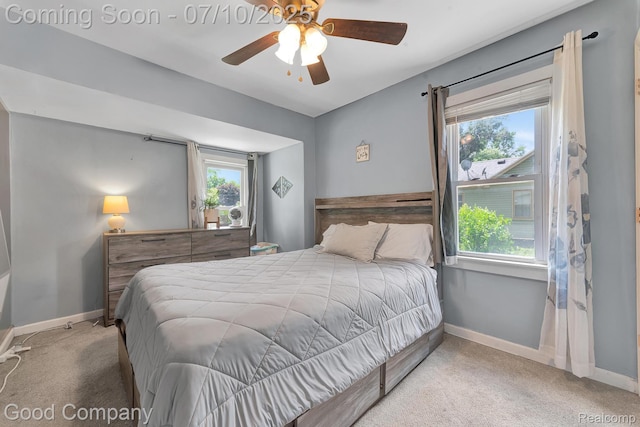 36149 Schley Ave, Van Buren, MI 48186 - carpeted bedroom with multiple windows and a ceiling fan
