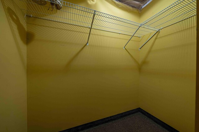 4433 Elm St, New Era, MI 49446 - spacious closet with carpet