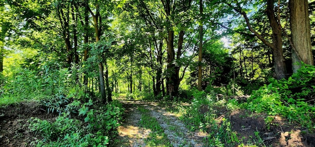 4433 Elm St, New Era, MI 49446 - view of woods
